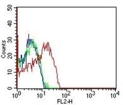 CD98 Antibody (1C11.7E3) - Azide and BSA Free, Novus Biologicals 0.1 mg;